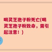 喝灵芝孢子粉死亡(喝灵芝孢子粉致命，需引起注意！)