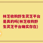 林芝收购野生灵芝平台是真的吗(林芝收购野生灵芝平台确实存在)