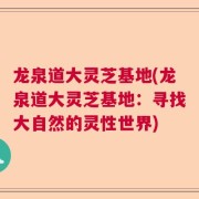 龙泉道大灵芝基地(龙泉道大灵芝基地:寻找大自然的灵性世界)