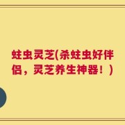 蛀虫灵芝(杀蛀虫好伴侣，灵芝养生神器！)