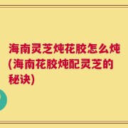 海南灵芝炖花胶怎么炖(海南花胶炖配灵芝的秘诀)