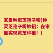 家里种灵芝孢子粉(种灵芝孢子粉妙招：在家里实现灵芝种植！)