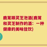 鹿茸跟灵芝泡酒(鹿茸和灵芝制作的酒：一种健康的美味佳饮)