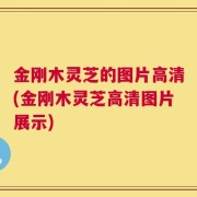 金刚木灵芝的图片高清(金刚木灵芝高清图片展示)