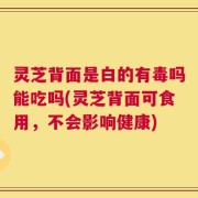 灵芝背面是白的有毒吗能吃吗(灵芝背面可食用，不会影响健康)