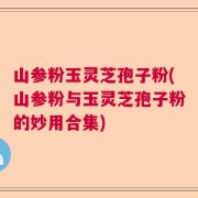 山参粉玉灵芝孢子粉(山参粉与玉灵芝孢子粉的妙用合集)