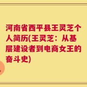 河南省西平县王灵芝个人简历(王灵芝：从基层建设者到电商女王的奋斗史)
