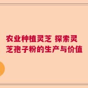 农业种植灵芝 探索灵芝孢子粉的生产与价值