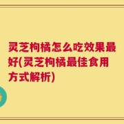 灵芝枸橘怎么吃效果最好(灵芝枸橘最佳食用方式解析)