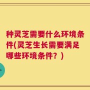 种灵芝需要什么环境条件(灵芝生长需要满足哪些环境条件？)