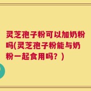 灵芝孢子粉可以加奶粉吗(灵芝孢子粉能与奶粉一起食用吗？)