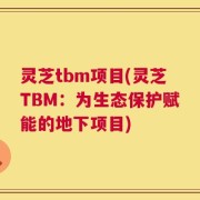 灵芝tbm项目(灵芝TBM：为生态保护赋能的地下项目)