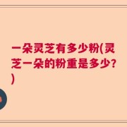 一朵灵芝有多少粉(灵芝一朵的粉重是多少？)