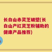 长白山赤灵芝破壁(长白山产红灵芝粉辅助的健康产品推荐)