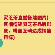 灵芝茶直播搭建图片(直播搭建灵芝茶品牌形象，粉丝互动达成销售目标)