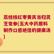 荔枝核红枣黄芪当归灵芝党参(五大中药原料制作口感绝佳的健康汤)