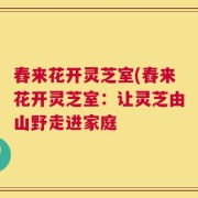 舂来花开灵芝室(舂来花开灵芝室：让灵芝由山野走进家庭