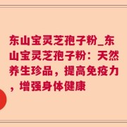 东山宝灵芝孢子粉_东山宝灵芝孢子粉：天然养生珍品，提高免疫力，增强身体健康