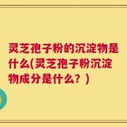 灵芝孢子粉的沉淀物是什么(灵芝孢子粉沉淀物成分是什么？)