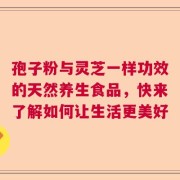 孢子粉与灵芝一样功效的天然养生食品，快来了解如何让生活更美好