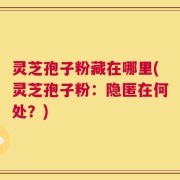 灵芝孢子粉藏在哪里(灵芝孢子粉：隐匿在何处？)