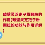 破壁灵芝孢子粉颗粒的作用(破壁灵芝孢子粉颗粒的功效与作用详解)