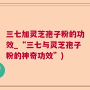 三七加灵芝孢子粉的功效_“三七与灵芝孢子粉的神奇功效”)