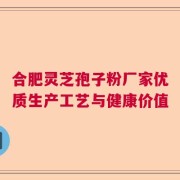 合肥灵芝孢子粉厂家优质生产工艺与健康价值