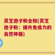 灵芝孢子粉全称(灵芝孢子粉：提升免疫力的自然神器)