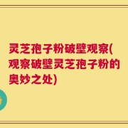 灵芝孢子粉破壁观察(观察破壁灵芝孢子粉的奥妙之处)