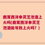 鹿茸西洋参灵芝泡酒上火吗(鹿茸西洋参灵芝泡酒能导致上火吗？)