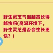 野生灵芝气温越高长得越快吗(高温环境下，野生灵芝是否会生长更快？)