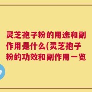 灵芝孢子粉的用途和副作用是什么(灵芝孢子粉的功效和副作用一览
