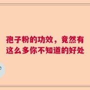 孢子粉的功效，竟然有这么多你不知道的好处