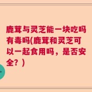 鹿茸与灵芝能一块吃吗有毒吗(鹿茸和灵芝可以一起食用吗，是否安全？)