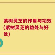 紫树灵芝的作用与功效(紫树灵芝的益处与好处)