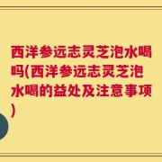西洋参远志灵芝泡水喝吗(西洋参远志灵芝泡水喝的益处及注意事项)
