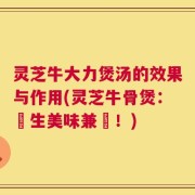 灵芝牛大力煲汤的效果与作用(灵芝牛骨煲：養生美味兼備！)