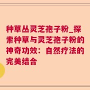 种草丛灵芝孢子粉_探索种草与灵芝孢子粉的神奇功效:自然疗法的完美结合