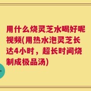 用什么烧灵芝水喝好呢视频(用热水泡灵芝长达4小时，超长时间烧制成极品汤)