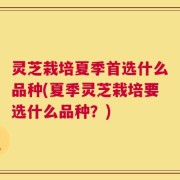 灵芝栽培夏季首选什么品种(夏季灵芝栽培要选什么品种？)