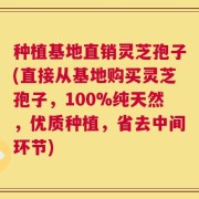 种植基地直销灵芝孢子(直接从基地购买灵芝孢子，100%纯天然，优质种植，省去中间环节)