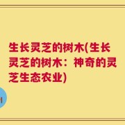 生长灵芝的树木(生长灵芝的树木：神奇的灵芝生态农业)