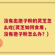 没有出孢子粉的灵芝怎么吃(灵芝如何食用，没有孢子粉怎么办？)