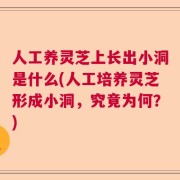 人工养灵芝上长出小洞是什么(人工培养灵芝形成小洞，究竟为何？)