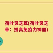 荷叶灵芝草(荷叶灵芝草：提高免疫力神器)