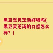 黑豆煲灵芝汤好喝吗(黑豆灵芝汤的口感怎么样？)