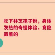 吃下林芝孢子粉，身体发热的奇怪体验，竟隐藏着的