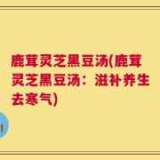 鹿茸灵芝黑豆汤(鹿茸灵芝黑豆汤：滋补养生去寒气)