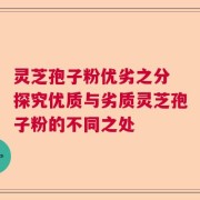 灵芝孢子粉优劣之分 探究优质与劣质灵芝孢子粉的不同之处
